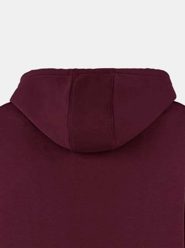 Sweat à capuche s-jim bordeaux homme - Teddy Smith