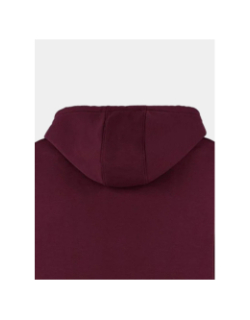 Sweat à capuche s-jim bordeaux homme - Teddy Smith