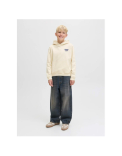 Sweat à capuche jornorrebro beige garçon - Jack & Jones