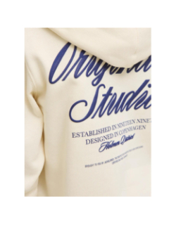 Sweat à capuche jornorrebro beige garçon - Jack & Jones