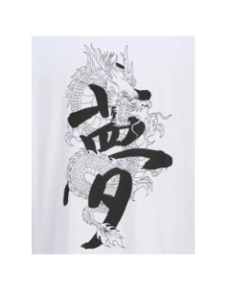 T-shirt à manches courtes jjmiko blanc garçon - Jack & Jones