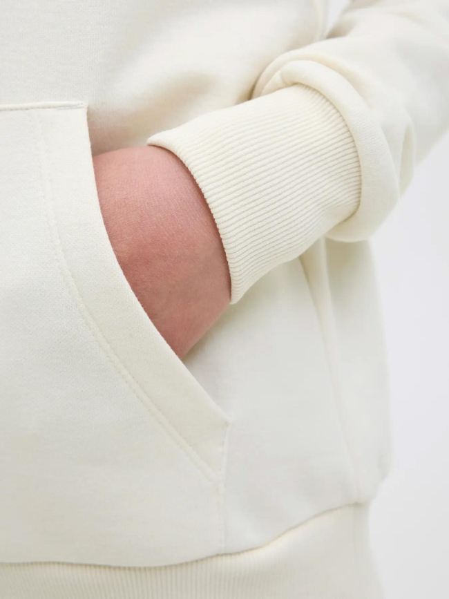 Sweat à capuche jorskull nature beige garçon - Jack & Jones