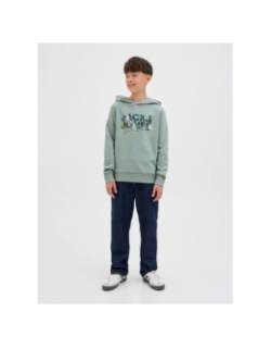 Sweat à capuche jjgeplas kaki garçon - Jack & Jones