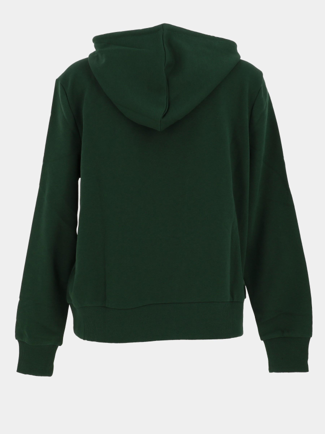 Sweat à capuche maia believe vert femme - Only