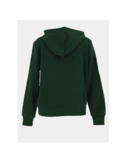 Sweat à capuche maia believe vert femme - Only