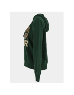 Sweat à capuche maia believe vert femme - Only