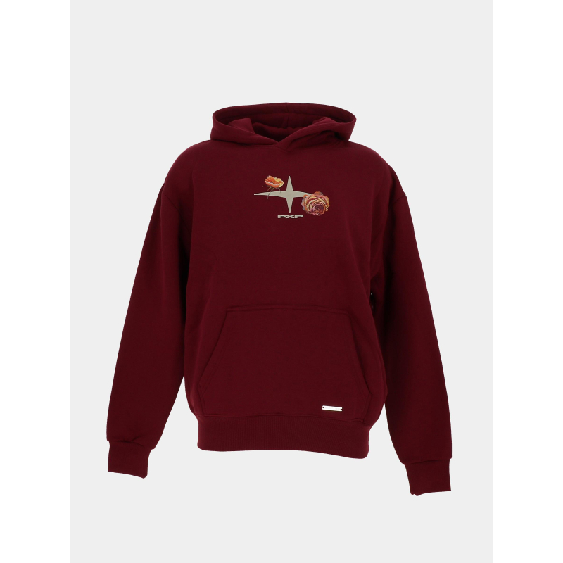 Sweat à capuche wild spirit bordeaux homme - Project X Paris