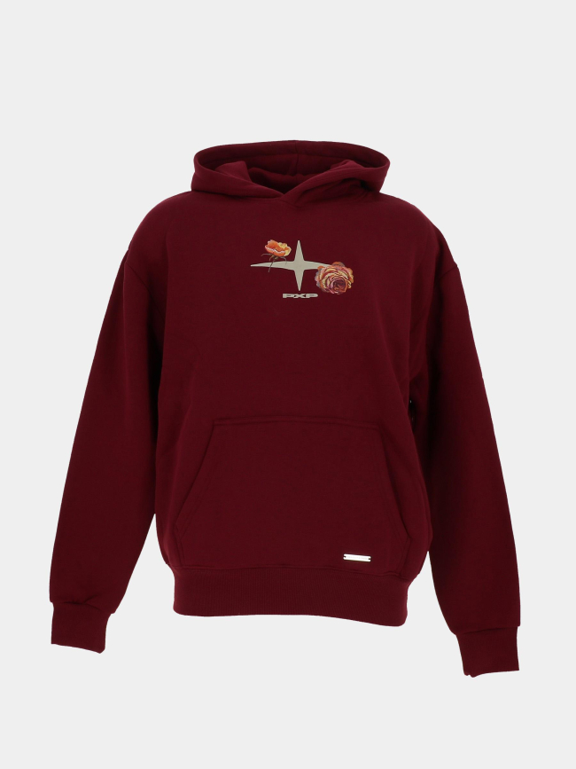 Sweat à capuche wild spirit bordeaux homme - Project X Paris