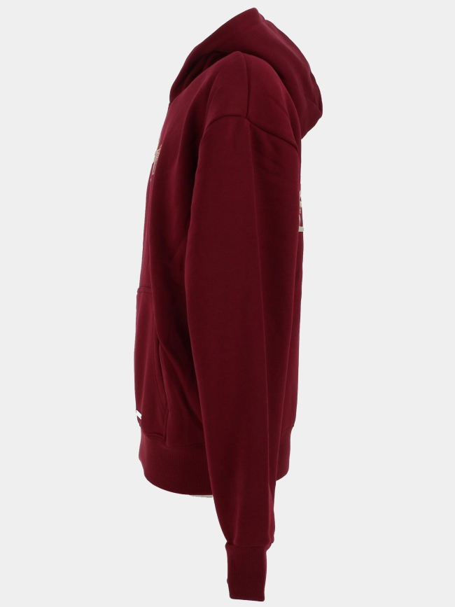 Sweat à capuche wild spirit bordeaux homme - Project X Paris
