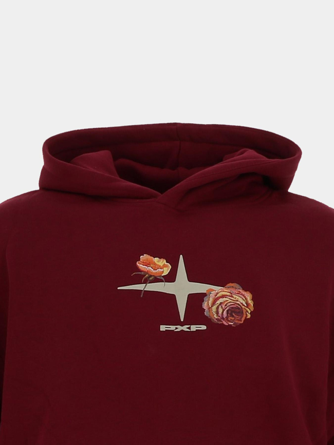 Sweat à capuche wild spirit bordeaux homme - Project X Paris