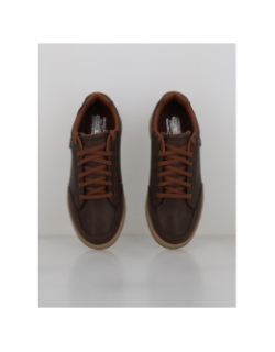Baskets cavell-sparkman marron homme - Skechers