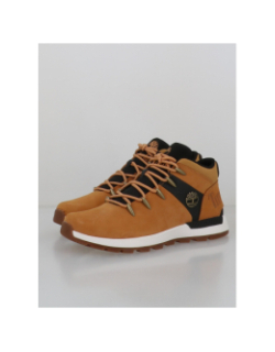 Chaussures sprint trekker beige homme - Timberland