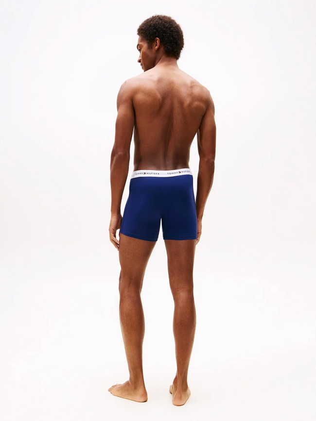 Pack de 3 boxers en coton bleu et vert homme - Tommy Hilfiger