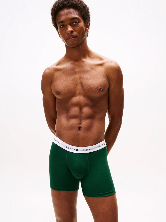 Pack de 3 boxers en coton bleu et vert homme - Tommy Hilfiger