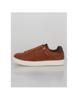 Baskets zapato cro c. marron homme - Teddy Smith