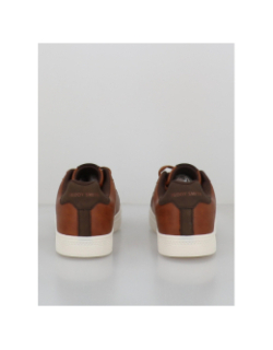 Baskets zapato cro c. marron homme - Teddy Smith