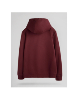 Sweat à capuche nark bordeaux homme - Teddy Smith