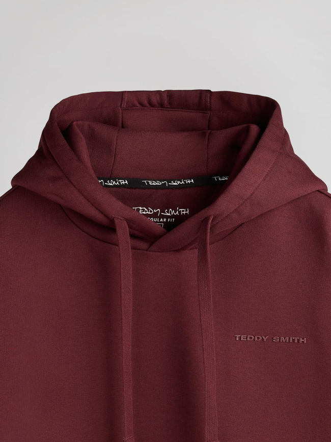 Sweat à capuche nark bordeaux homme - Teddy Smith