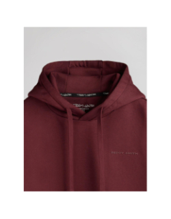 Sweat à capuche nark bordeaux homme - Teddy Smith
