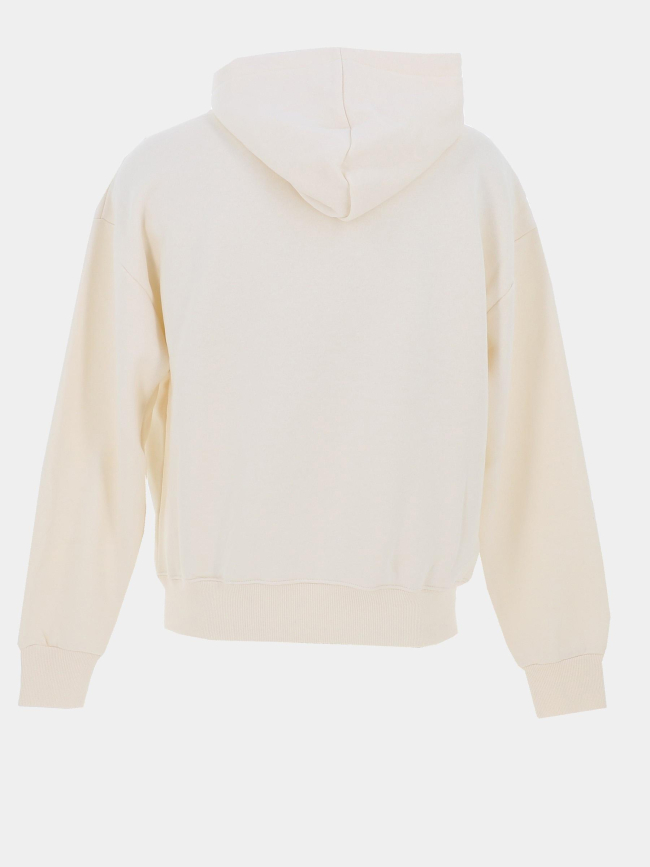 Sweat à capuche logo brodé polaris beige homme - Project X Paris