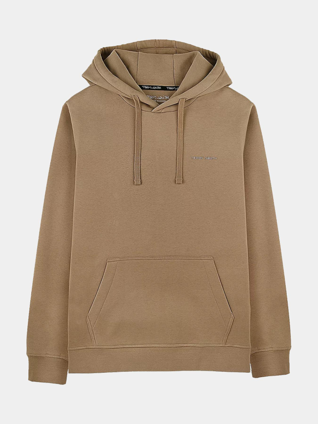Sweat à capuche nark logo marron garçon - Teddy Smith