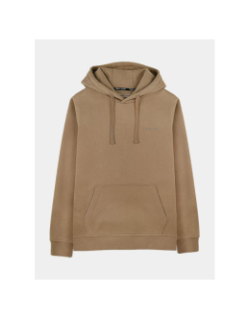 Sweat à capuche nark logo marron garçon - Teddy Smith