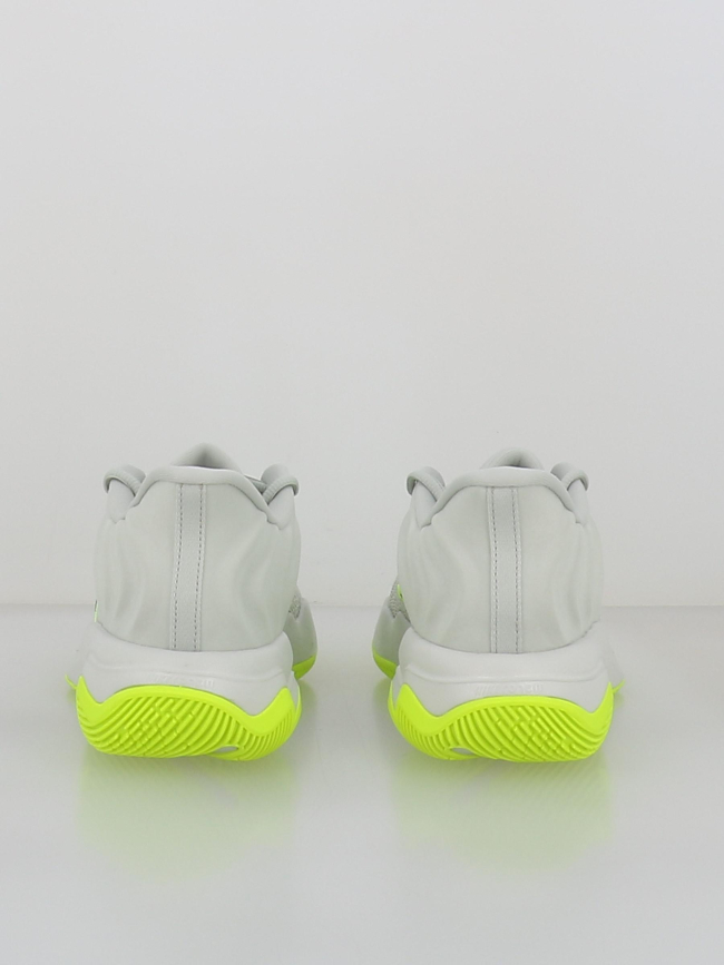 Chaussures de basketball giannis immortality 4 gris - Nike