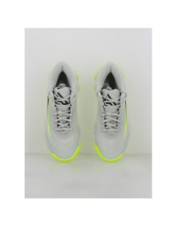 Chaussures de basketball giannis immortality 4 gris - Nike