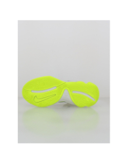 Chaussures de basketball giannis immortality 4 gris - Nike