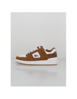 Baskets court cage 225 marron blanc homme - Lacoste