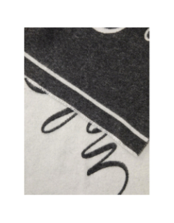 Écharpe byanca gris femme - Hugo