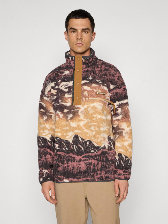 Polaire streetwear avec imprimé helvetia marron homme - Colombia