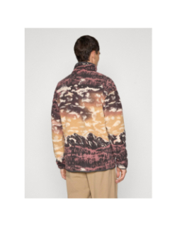 Polaire streetwear avec imprimé helvetia marron homme - Colombia