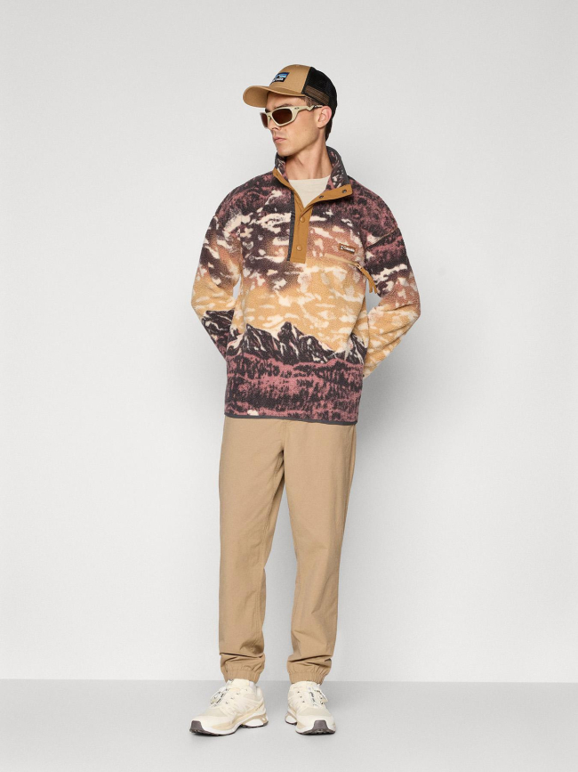 Polaire streetwear avec imprimé helvetia marron homme - Colombia