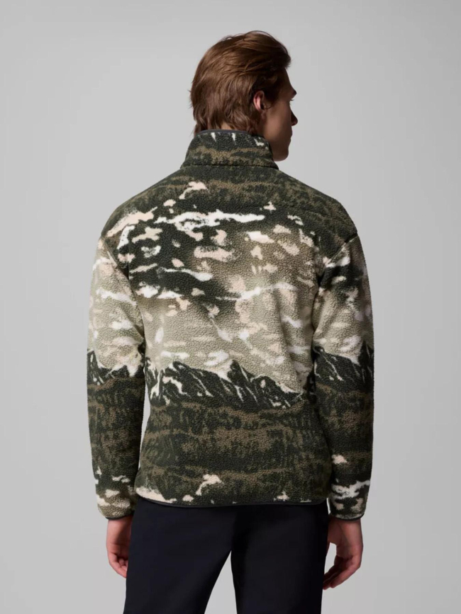 Polaire streetwear avec imprimé helvetia vert homme - Columbia