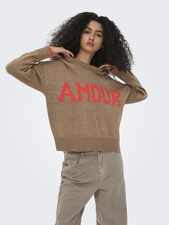 Pull en maille onlnew amour marron femme - Only