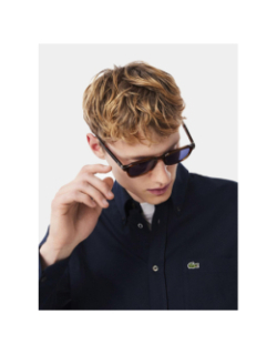Chemise regular fit oxford bleu marine homme - Lacoste