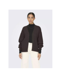 Gilet cardigan dinea marron femme - Jdy