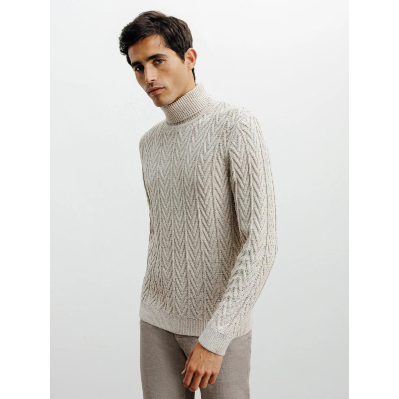 Pull col roulé borsade beige homme - Izac