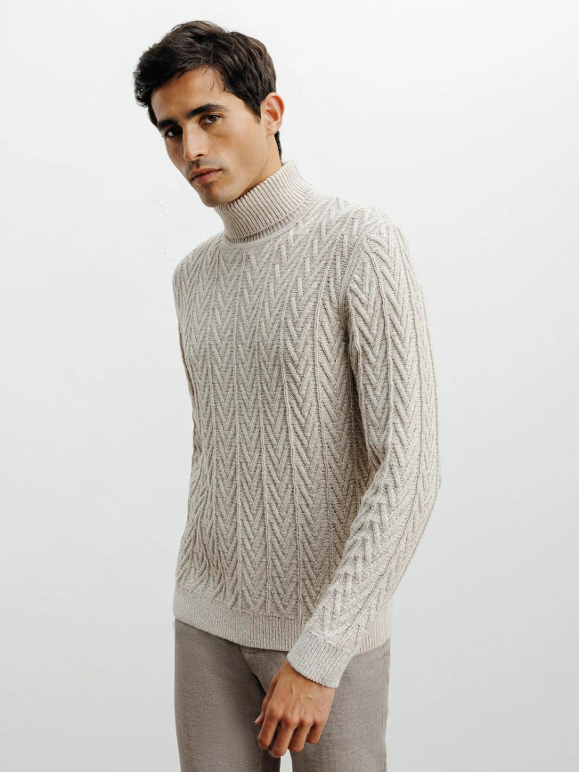 Pull col roulé borsade beige homme - Izac