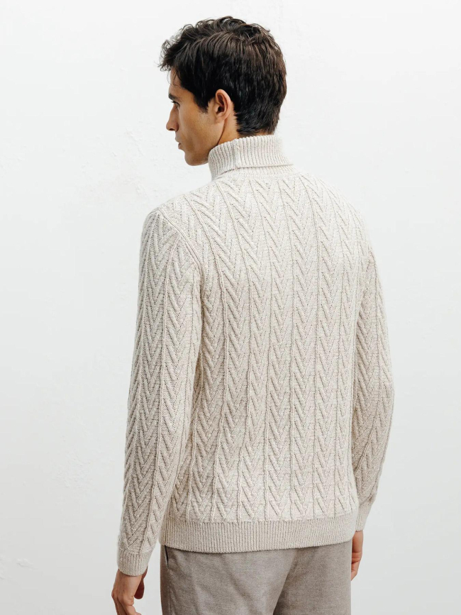 Pull col roulé borsade beige homme - Izac