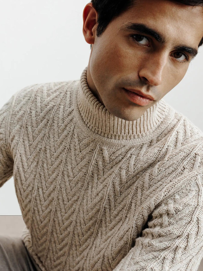 Pull col roulé borsade beige homme - Izac