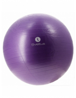 Balle de gym pvc diam 75 cm violet - Sveltus