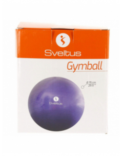 Balle de gym pvc diam 75 cm violet - Sveltus