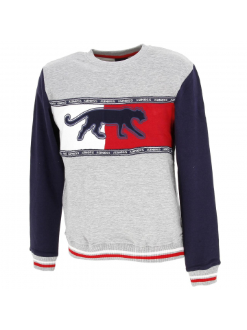 Sweat sport cayler gris homme - Airness