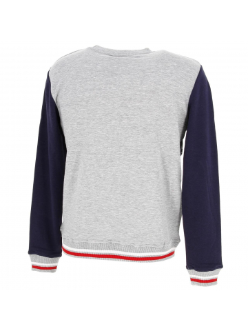 Sweat sport cayler gris homme - Airness