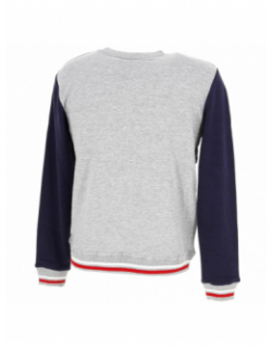 Sweat sport cayler gris homme - Airness