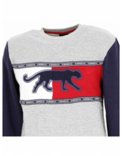 Sweat sport cayler gris homme - Airness