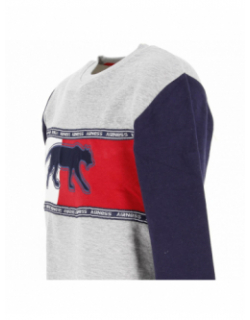 Sweat sport cayler gris homme - Airness
