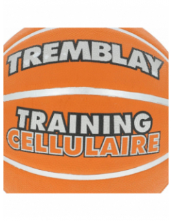 Ballon de basketball t6 training orange - Tremblay